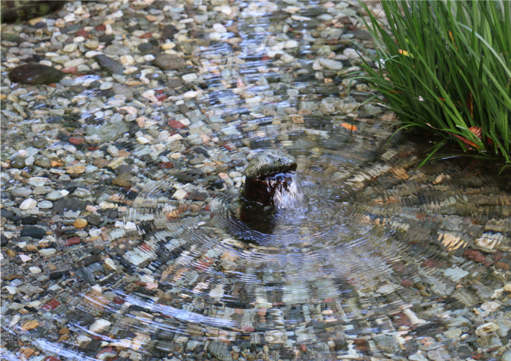 最も古いとされる前名寺の清水